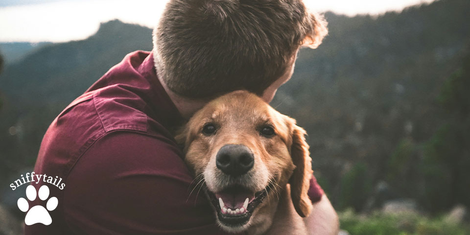 Can Dogs Feel Your Emotions?