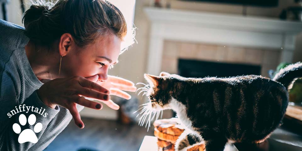 cat-owner-play-her-cat